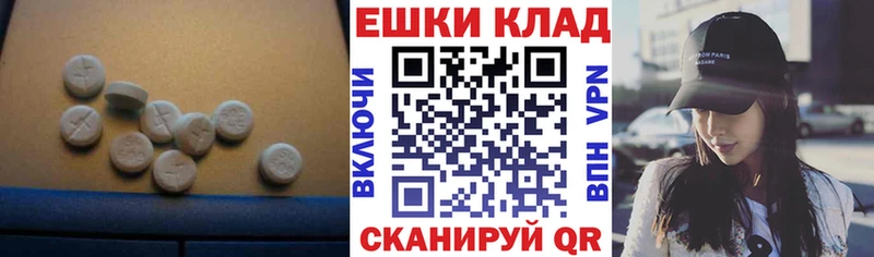 ЭКСТАЗИ Philipp Plein  Купить где  Гдов 