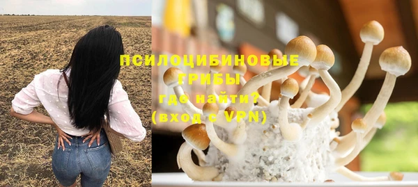 МДПВ Зеленодольск