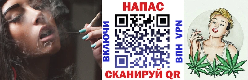 Бошки марихуана сатива  Купить где  Гдов 
